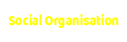 socialorganisations.org